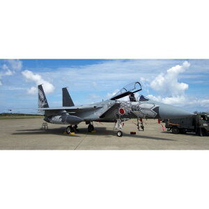 y10/17I!! ő20{PAbvzvbc 1^72 q󎩉q F-15JC[O 303s 2018 nq LOh@ t@CeBOEhS yAC-28z (vf) yĔ́z