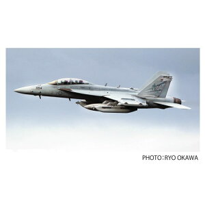 【11/1限定! 最大P6倍 & 最大2000円OFFクーポン!!】プラッツ イタレリ アメリカ海軍 電子戦機 EA-18G グラウラー VAQ-131 ランサーズ 2020 ロービジ 【TPA-29】 (プラスチックモデルキット)