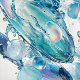 【12/5限定! 最大1000円OFFクーポン】aus／Fluctor 【CD】