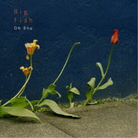王舟／Big fish 【CD】
