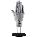 ARTIST SUPPORT ITEM ハンドモデル/R -GRAY- 1/1スケール 【AT005】 (フィギュア)【再販】
