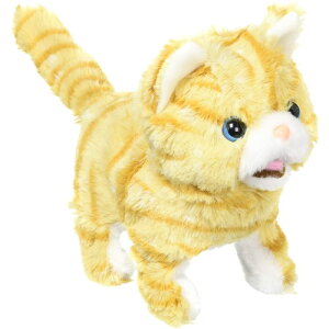 y11/1! őP6{ & ő2000~OFFN[|!!zXReBbV ǂ q ̎q l`V