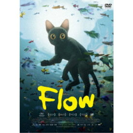 Flow 【DVD】