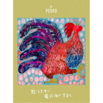楽天市場】ペトロールズ 仮免（CD・DVD）の通販