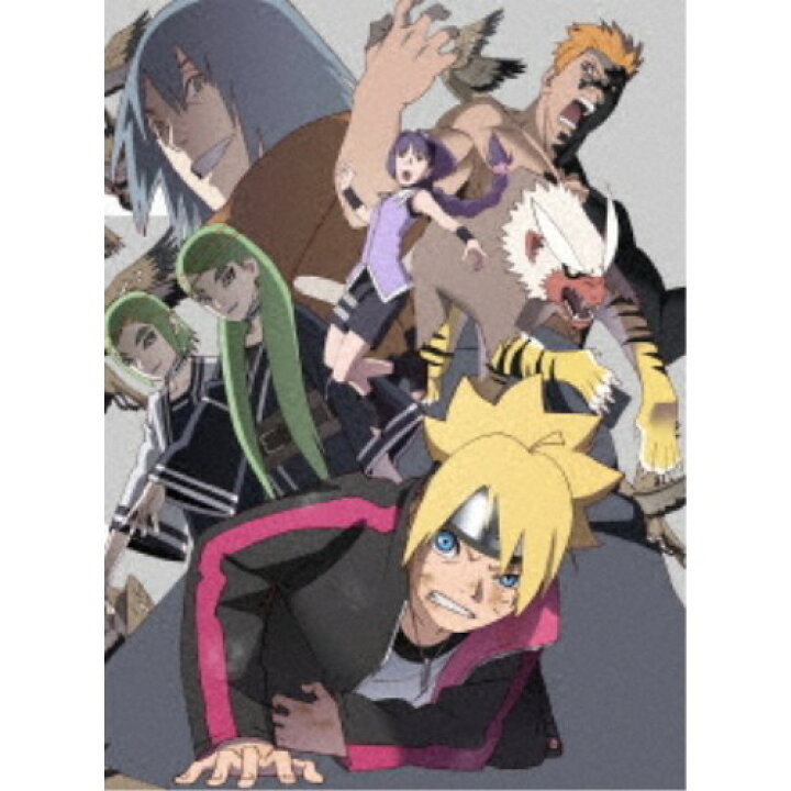 楽天市場 Boruto ボルト Naruto Next Generations Dvd Box6 親子の日編 呪印感染編 湯煙忍法帖編 完全生産限定版 初回限定 Dvd ハピネット オンライン