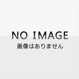 ザ・メガフォニック・スリフト／ディケイ・デコイ 【CD】