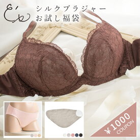 【最大2000円OFFクーポン配布中】豪華版 シルク ブラジャー お試し福袋 レディース ワイヤーなしでも驚きの谷間 ブラウン