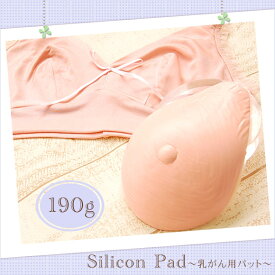 【最大2000円OFFクーポン　4/24 20:00～】乳がん用シリコンパット 160g 1個売り