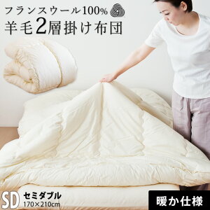 ����������w�L���g �r�ъ|���z�c �r�ѕz�c �Z�~�_�u�� 170×210 �|���z�c �t�����X�Y�E�[��100�� �E�[���}�[�N�t ��100�����n �����ʒ��Ή��i�T�C�Y�I�[�_�[�j �~�p �E�[���|���z�c �E�[�� 