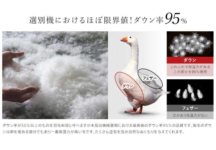 楽天市場】【5/1限定クーポンで11%OFF】羽毛布団 二層式 ポーランド産  