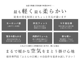 羽毛布団 ダブル ロマンス小杉 衿元フィット ハンガリー産ダウン90 とろける羽毛 洗浄度2倍 羽毛掛け布団 羽毛ふとん ロマンス 日本製 マチ高 立体キルト 羽毛専用超軽量生地生地 眠りのひろば ふとんの江崎