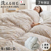 楽天市場】ロマンス小杉 羽毛布団の通販