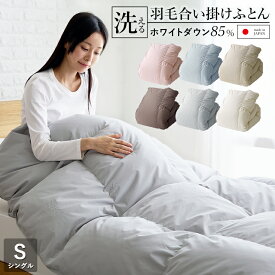 羽毛合い掛け布団 シングル 洗える 国産 秋用 冬用 春用 ホワイトダウン85％ 0.75kg入り ウォッシャブル 羽毛合掛けふとん 羽毛布団 合い掛け 羽毛ふとん 日本製 京都金桝