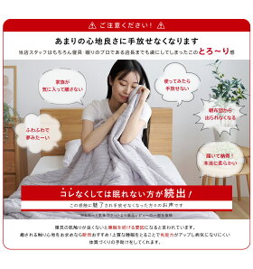 【2枚組】洗える肌掛け布団とろ〜りケットシングル
