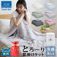 【本日23:59まで限定P10倍】【レビューでとろ〜り枕カバー】 アイスとろ〜りケット 洗える 肌掛け布団 正…