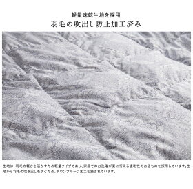 【2枚組】西川羽毛肌掛け布団洗えるダウンケットホワイトダウン50%昭和西川
