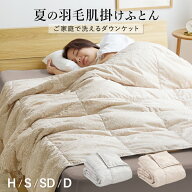 【26h限定P5倍】羽毛肌掛け布団 ダウンケット 洗える ウォッシャブル 春用 夏用 秋用 ホワイトダウン50％…
