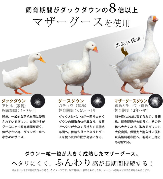 楽天市場】【期間限定エントリーでP10倍】西川 ダウンケット マザー 