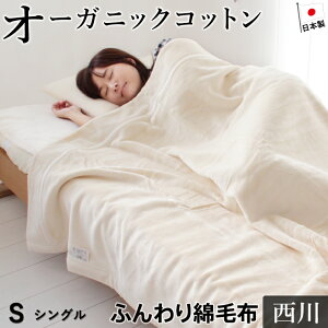 y11/1IN[|11OFFzȖѕz VO I[KjbNRbggp  RbguPbg 100 I[KjbN j[}C[ѕz  { ѕz Y 02-CNB 0776