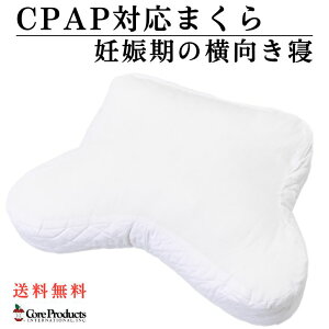RA ps[ CPAP Ή ܂  т΍ DP |GXet@Co[ AJ Q DP Q Dw