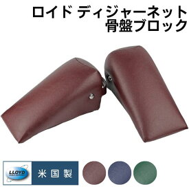 LLOYD ロイド ディジャーネット 骨盤ブロック 三角ブロック 2個 1対 重厚で丸みのあるデザイン 後部ストラップ付【アメリカ製】