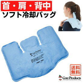 コアパックソフト スリーセクションパック ソフトタイプ 冷却バッグ 氷枕 アイシング クールダウン 固くならない 結露しにくい 首 肩 背中 3部位まとめて冷やす 熱中症 猛暑 スポーツ 筋トレ アイスパック 快眠 氷のう