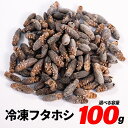 冷凍コオロギ ML 100g 300g 500g 1kg 送料無料 2cm程度 エサラボ 冷凍フタホシコオロギ 冷凍餌 コオロギ 爬虫類の餌 …