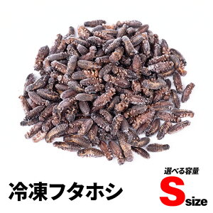 ⓀRIM S 20g 40g 100g  1cm GT{ Ⓚt^zV Ⓚt^zVRIM Ⓚa RIM ঒ނ̉a Jiwr a