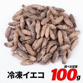 冷凍コオロギ ML 100g 300g 500g 1kg 送料無料 1.5cm-2cm程 エサラボ 冷凍ヨーロッパイエコオロギ 冷凍イエコ 冷凍餌 コオロギ 爬虫類の餌 レオパ 餌