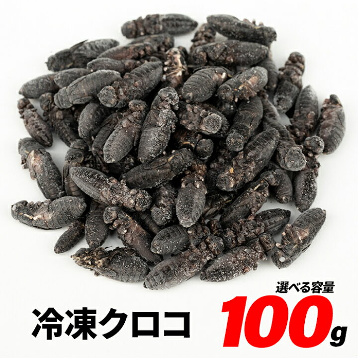 楽天市場】冷凍コオロギ メガ L 2.4cm-2.9cm程 100g 300g 500g 1kg 