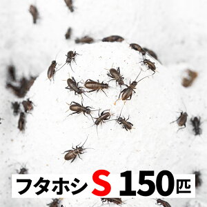 t^zVRIM 150C S 5-8mm  GT{ a p RIM t^zV STCY a a a Jiwr  JG gJQ