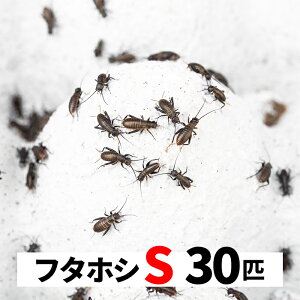 t^zVRIM 30C S 5-8mm  GT{ a p RIM t^zV STCY a a a Jiwr  JG gJQ