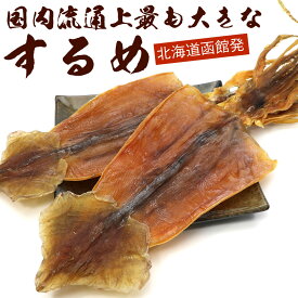 するめ するめいか 国内流通上最も大きな スルメ スルメイカ 2枚入 約190g(R) 一枚95g前後 メール便 送料無料