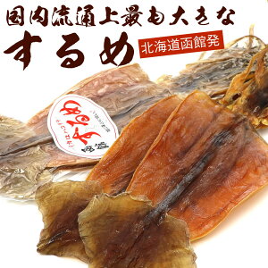  ߂ ʏł傫 X XCJ 4 380g(R) ꖇ95gO 