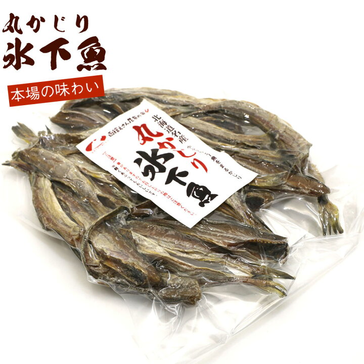 今日の超目玉 氷下魚 コマイ 天日干 1kg m 30尾前後 北海道根室産こまい一夜干 Supplystudies Com 今日の超目玉 氷下魚 コマイ 天日干 1kg m 30尾前後 北海道根室産こまい一夜干 Supplystudies Com