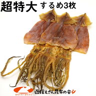 するめ 函館 スルメイカ 超特大サイズ×3枚入 250g前後 (R) するめ (するめ 一枚当たり70～90g) するめい…