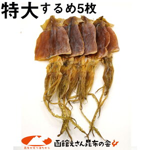  X  XCJ TCY×5 (R) 250`280g { ق ߂ Y Y  X XCJ 󂠂薳 Ε Ε