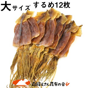  X  XCJ TCY×12 (R) 400`450g { ق ߂ Y Y  X XCJ 󂠂薳 Ε Ε