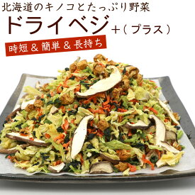 ドライベジタブル 【 北海道産 乾燥きのこ プラス 】 ミックス 5種 250g (DL) 乾燥野菜 国産 無添加 長期保存 大容量 業務用 チャック付き袋入り ドライベジ メール便 送料無料