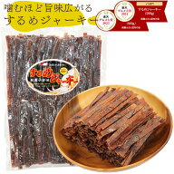 するめジャーキー 【2年連続グルメ大賞受賞】 (A1) 炙り 板状 スティック 業務用 500g チャック付き袋 す…