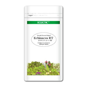 yP10{zGLiVA RT  FFD 360mg 90JvZ EcopbN tbVAbvO[hKi n[uTvg ECLECTIC GNNeBbN