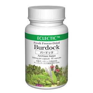 o[hbN S{E FFD 500mg 45JvZ tbVAbvO[hKi n[uTvg ECLECTIC GNNeBbN