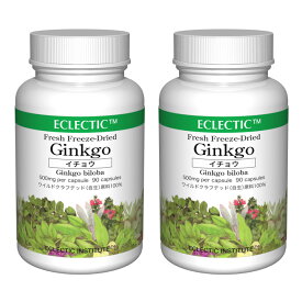 イチョウ ギンコ FFD 500mg 90カプセル 2個セット フレッシュアップグレード規格 ハーブサプリメント ECLECTIC エクレクティック