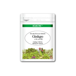 C`E MR FFD 500mg 15JvZ EcopbN tbVAbvO[hKi n[uTvg ECLECTIC GNNeBbN