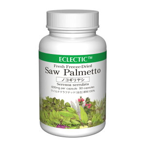 y15PҌz mRMV \Epbg FFD 600mg 90JvZ tbVAbvO[hKi n[uTvg ECLECTIC GNNeBbN