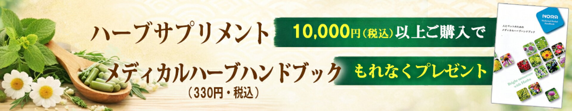 メディカルハーブハンドブックをもれなくプレゼント！