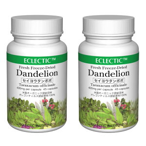 �Z�C���E�^���|�| �_���f���C�I�� FFD 400mg 45�J�v�Z�� 2�Z�b�g �n�[�u�T�v�������g ECLECTIC �G�N���N�e�B�b�N
