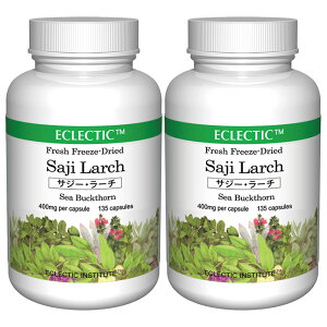 【P10倍】サジー・ラーチ ブレンド FFD 400mg (45・90・135)カプセル ブレンドハーブサプリメント ECLECTIC エクレクティック