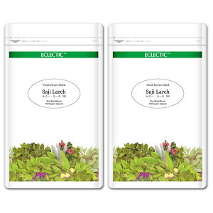 yP10{zTW[E[` uh FFD 400mg i15E45E90E180jJvZ EcopbN uhn[uTvg ECLECTIC GNNeBbN