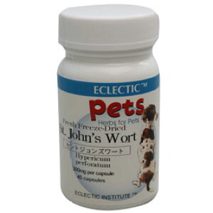 ZgWY[g FFD 300mg 45JvZ tbVAbvO[hKi ybgpn[uTvg ECLECTIC for Pets GNNeBbN